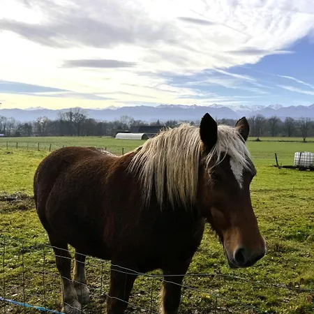 L'oree Du Bois * Livron