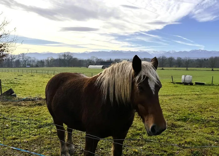 L'oree Du Bois * Livron
